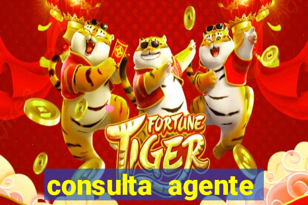 consulta agente autuador sp